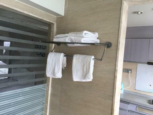 Shenzhen Style Apartment