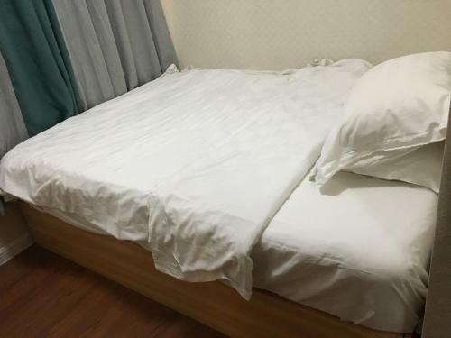 Shenzhen Style Apartment