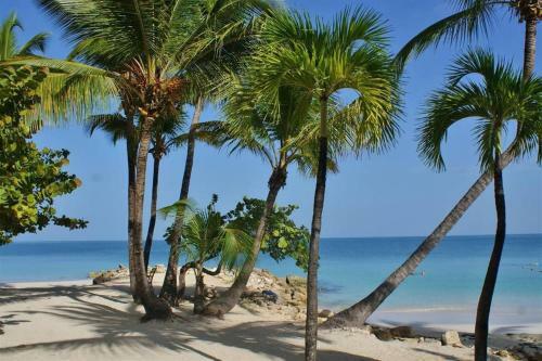 Hotel Siboney Beach Club