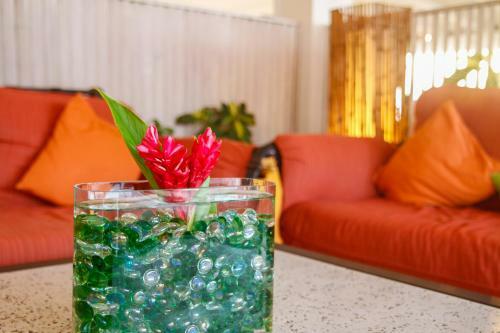 Trade Winds Hotel