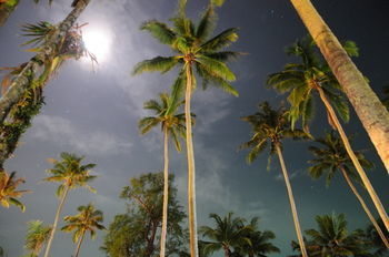 Hotel Medee Resort