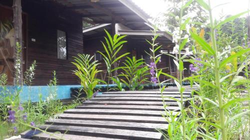 Hostal Mata Guesthouse