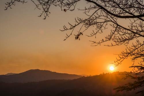 Hotel Phu Chaisai Mountain Resort & Spa