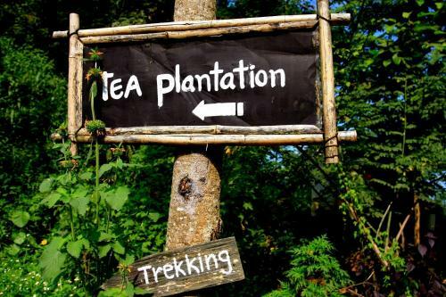 Hotel Phu Chaisai Mountain Resort & Spa