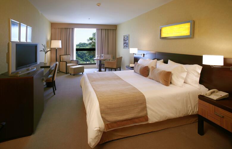 Hotel Panoramic Grand