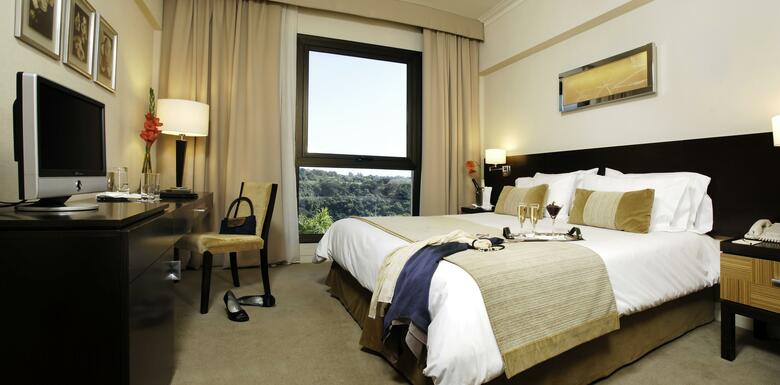 Hotel Panoramic Grand