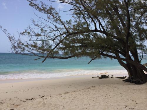 Apartamento Ferienwohnung Barbados - Bed And Breakfast