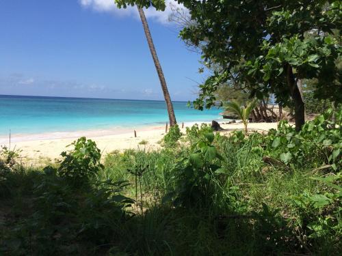 Apartamento Ferienwohnung Barbados - Bed And Breakfast