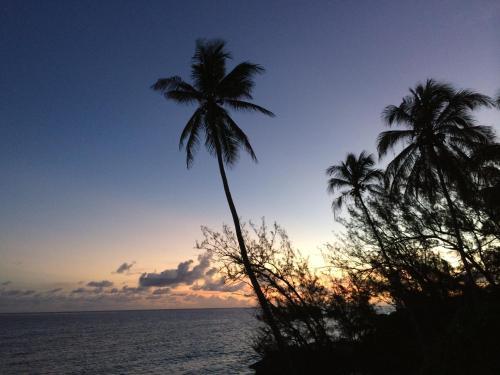 Apartamento Ferienwohnung Barbados - Bed And Breakfast