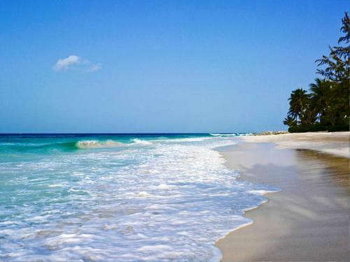 Turtle Beach By Elegant Hotels All Suites All Inclusive