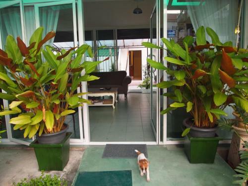 Hotel Hacienda Phuket