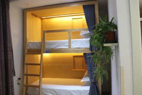 Posada The Phoenix Hostel Shanghai