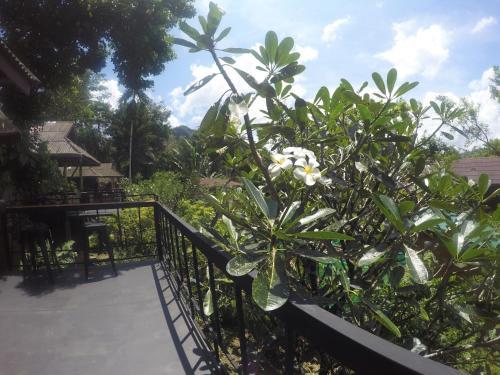 Hotel Khao Sok Morning Mist Resort