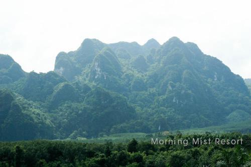 Hotel Khao Sok Morning Mist Resort