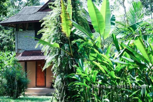 Hotel Khao Sok Morning Mist Resort