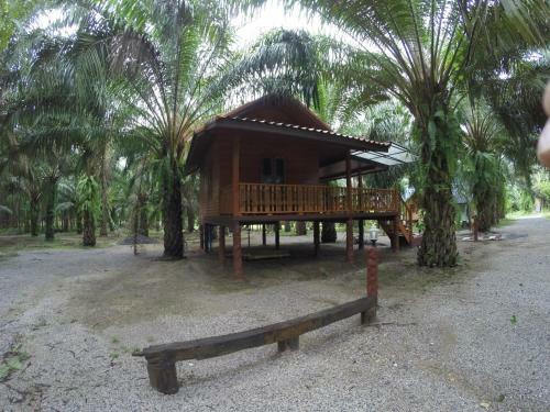 Hotel Khao Sok Palmview Resort