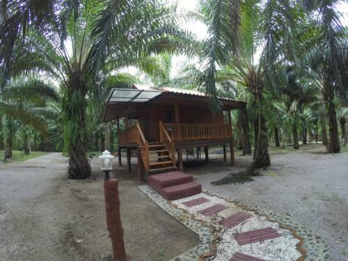 Hotel Khao Sok Palmview Resort