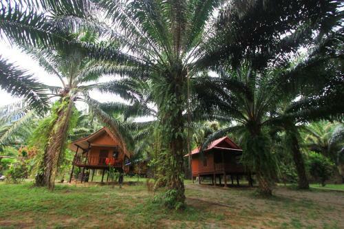 Hotel Khao Sok Palmview Resort