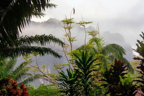Hotel Khao Sok Palmview Resort