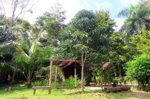 Hotel Khao Sok Palmview Resort