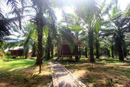 Hotel Khao Sok Palmview Resort