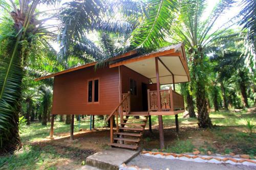 Hotel Khao Sok Palmview Resort