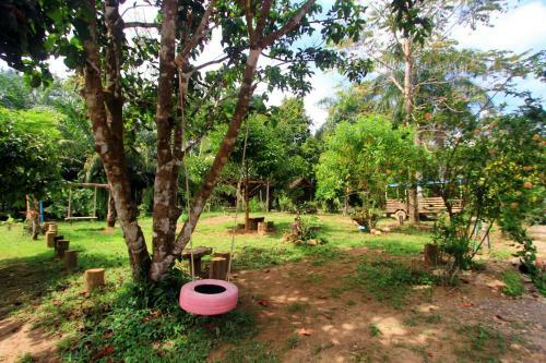 Hotel Khao Sok Palmview Resort