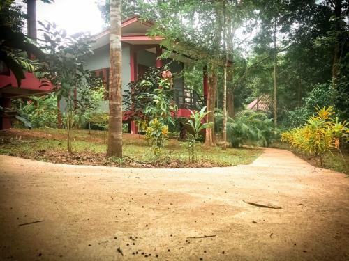 Hotel Khao Sok Garden Resort