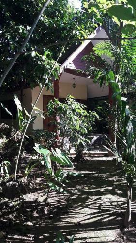 Hotel Khao Sok Holiday Resort