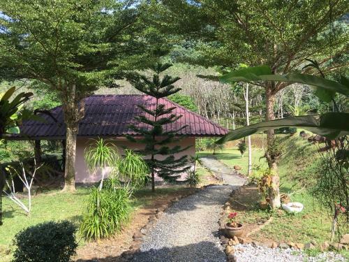 Hotel Khao Sok Hill Top Resort