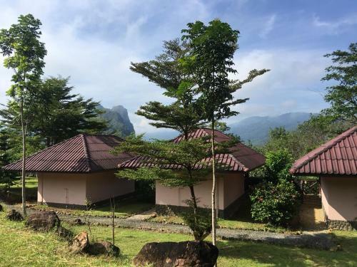 Hotel Khao Sok Hill Top Resort