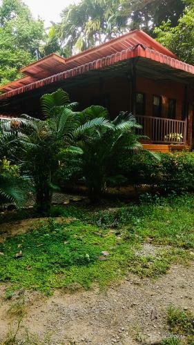 Hostal Khaosok Island Resort