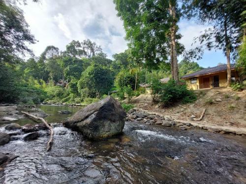 Hotel Khaosok Rainforest Resort