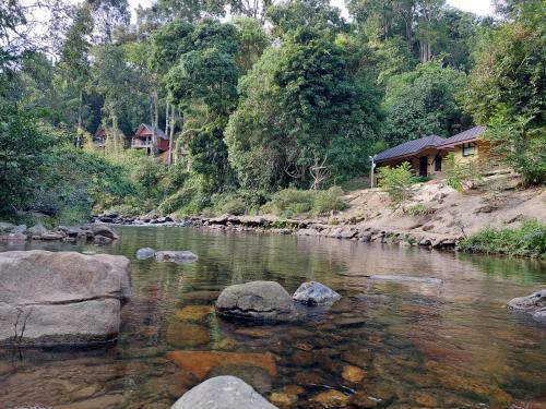 Hotel Khaosok Rainforest Resort