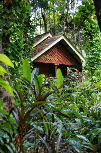 Lodge Khaosok Riverside Cottages