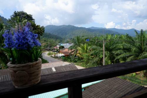Apartamentos Khao Sok Nature Place