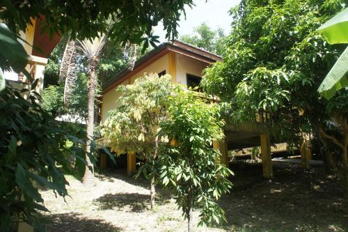 Cashew Nut Village