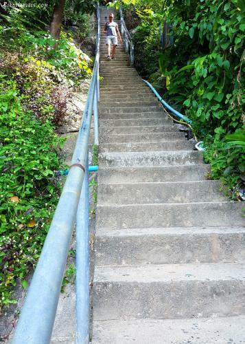 Hotel Phi Phi Arboreal Resort