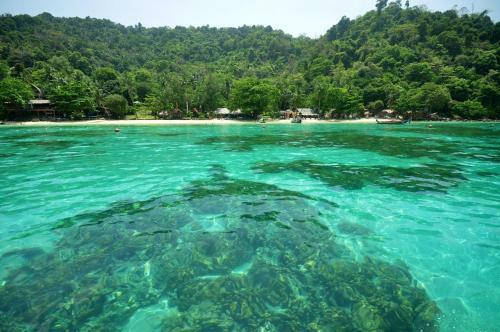Hotel Rantee View Bungalow