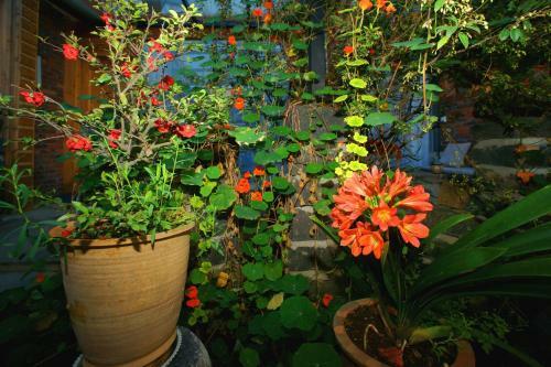 Hostal Xiangyuyangguang Garden Guest House