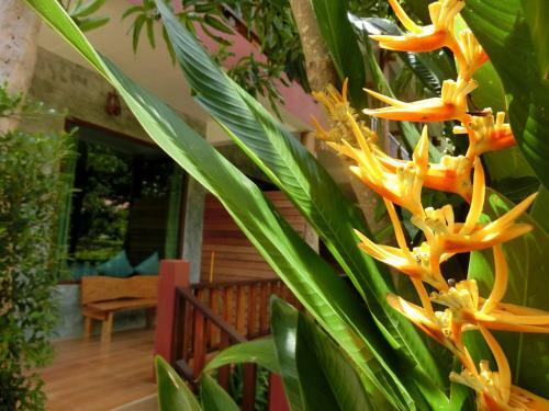 Hotel Ban Chom Samed Resort