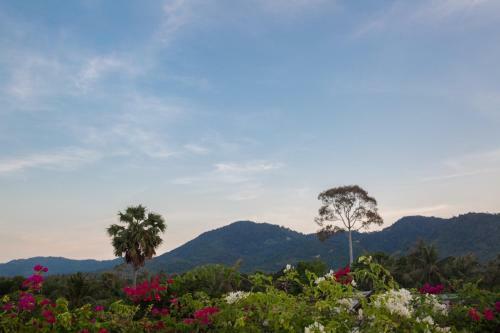 Beachside Villa Pina Colada With Beachclub And Hotel Facilities
