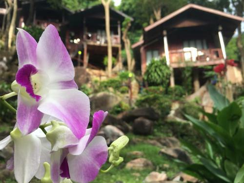Phi Phi Green Hill Resort