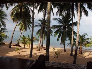Hotel Palm Point Village