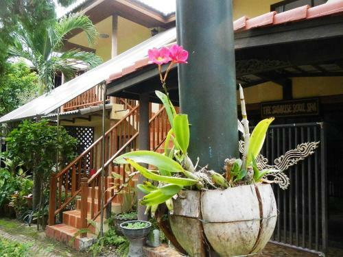 Hotel Sunrise Bungalow