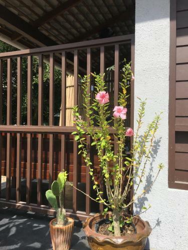 Hotel Jasmine & Tea House