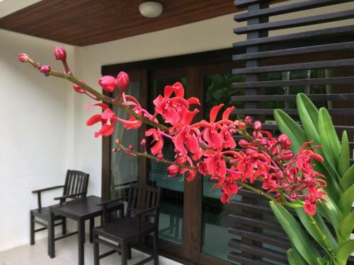 Hotel Ampha Place