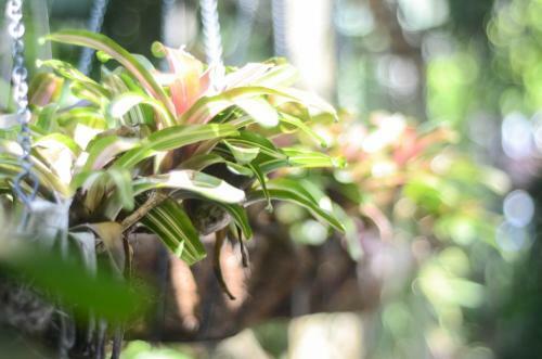 Hotel Samui Sense Beach Resort