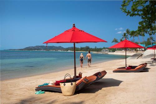 Hotel Rocky's Boutique Resort