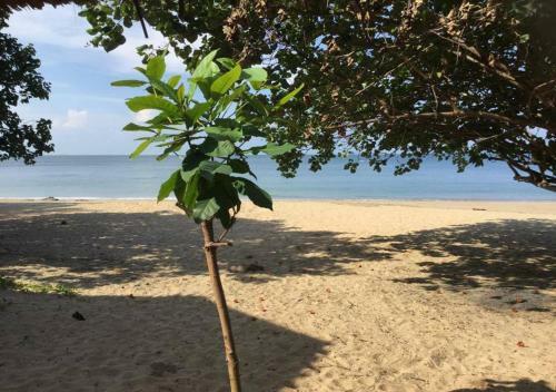 Hostal Sun Smile Beach Koh Jum